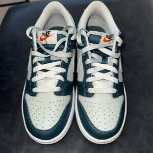 Gently used- Almost New Nike Dunk Low